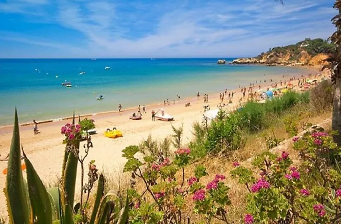 Luxury Pescadinha Near Beach, Villa Albufeira